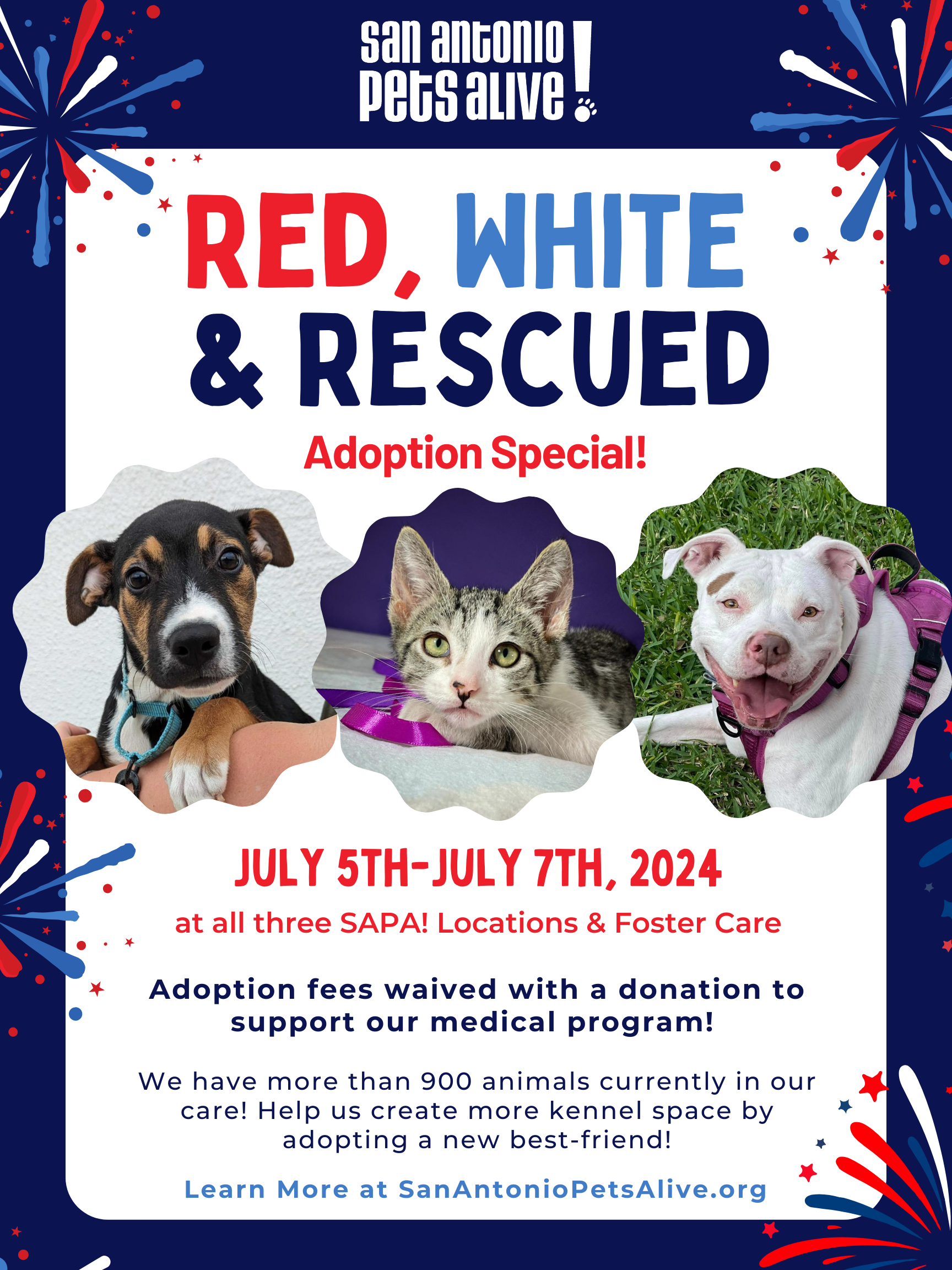 Waived Adoption Fees - Adopt a dog, puppy, cat or kitten for a donation amount of your choice!